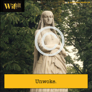 Unwoke