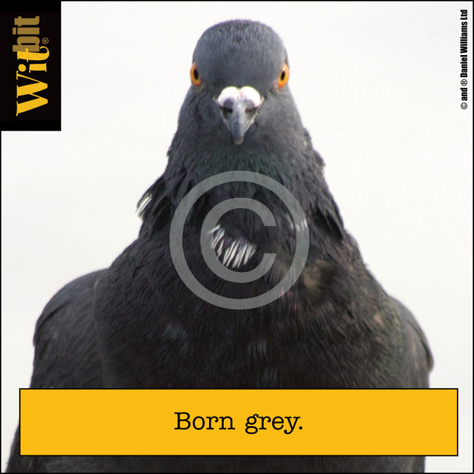 Born Grey