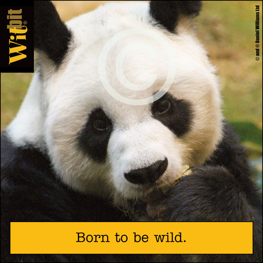 Born To Be Wild