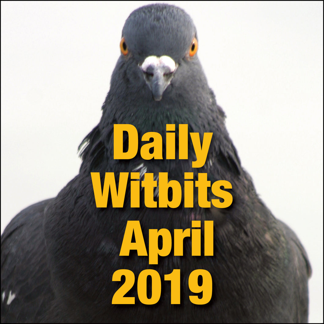 Daily Witbits For April 2019